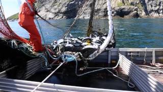 Record Breaking Fishing Season Chignik Alaska