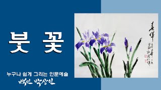 백민 박상인의 문인화 교실 제 31회: 붓꽃 그리기