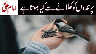 Prindon ko Anaj Khilana | Imam Ali as | Birds feeding | Mehrban Ali | Mehrban TV