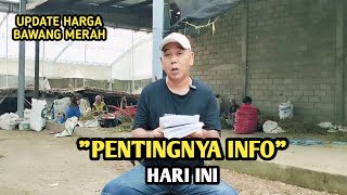 PENTINGNYA INFO HARI INI | UPDATE HARGA BAWANG MERAH BJM CHANNEL