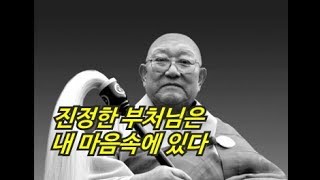 다시 듣는 법문 - 무진장 스님 