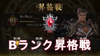 【シャドウバース】男のロマン！サタンデッキでBランク昇格戦！【Shadowverse】