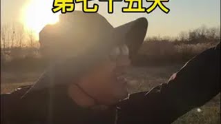 秦始皇东巡之路（75） 徒步旅行路上的第七十五天，从龙口市徒步到蓬莱仙岛，美丽的长岛，烟台苹果大又甜，好客山东热情热情！11月秋冬交替的长岛，很安静，一个人吹海风，听海浪，再守着夕阳慢慢落下，美不胜