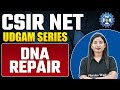 DNA Repair | Life Science | CSIR NET 2023