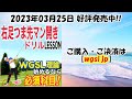 【飛距離に必須の動き】20ヤード以上も飛距離アップする最強のドリルがコレ！2023’右足つま先開きドリルlesson【レッスン動画vol.105宣伝用pv】【wgsl】【ベタ足】【前倒し】