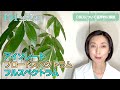 【cbd】大麻？cbdについて医学的に解説してみた！