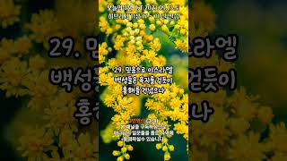 오늘의3분큐티QT 20230923 3번영상 #shorts #말씀 #성경 #QT #묵상 #진리 #생명의삶 #큐티#bible #jesus#quiet #time