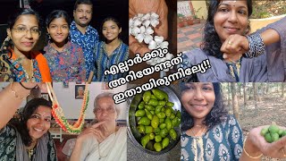 431 ❤️ 60 രൂപക്ക് ഒരു പവൻ കിട്ടുമത്രെ..😇😇 |Family Vlog |