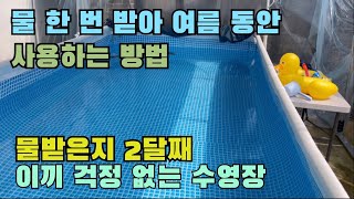 수영장 물 관리 4년 차 : 아주 간단하고 깨끗하게 수질 관리 방법