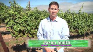 Alvarez Technology:  Managed Services for Paraiso Vineyards, Soledad, Ca