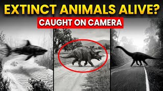7 Extinct Animals CAUGHT ALIVE on Camera