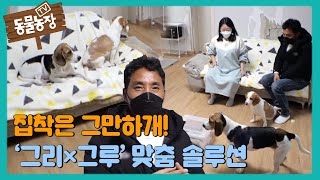 집착은 그만하개! ‘그리×그루’ 맞춤 솔루션 I TV동물농장 (Animal Farm) | SBS Story