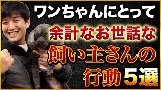 【ついやっている…】実はワンちゃんに余計なお世話だと思われている飼い主さんの行動5選