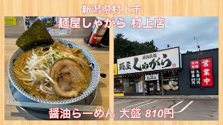 麺屋しゃがら 村上店『醤油らーめん 大盛 810円』