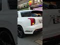 2024 현대 신형 팰리세이드 끝판왕 블랙에디션 신차패키지 shorts hyundai palisade 현대 도도프로 김해광택 김해프로광택