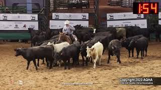 2023 Youth Cutting -- AQHYA World Championship Show