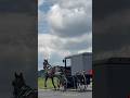 Amish horse buggy on the road - Lancaster County, Pennsylvania 🇺🇸