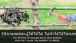 วิธีการตอกตะปูใส่ไม้ไผ่ไม่ทำให้ไม้ไผ่แตก bamboo does not cause the bamboo to break