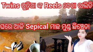 Twins ଗୁଡ଼ିଆ ଙ୍କ Reels ଦେଖା ଚାଲିଚି।।ଘରେ ଆଜି Sepical କଣ ହେଲା।Odiavolg।।@sitalsonalifestyle5502