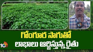 Huge Profit In Gongura Cultivation | గోంగూర సాగుతో లాభాలు ఆర్జిస్తున్న రైతు | Matti Manishi | 10TV