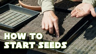 Seed Starting 101: How and Why I Start Seeds The Way I Do!