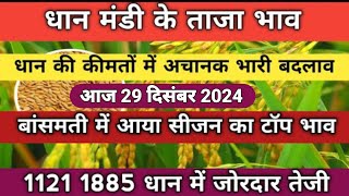 धान के भाव, 29 दिसंबर 2024 || dhan ke bhav |1121,1509 dhan ke bhav | basmati dhan mandi bhav