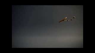 Pendulum animation exercise