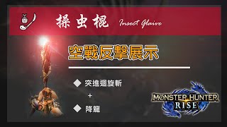 【MHRise】操蟲棍 Insect Glaive 反擊空戰展示 | 交換技的完美搭配  Feat.迅龍/金獅子/雷神龍