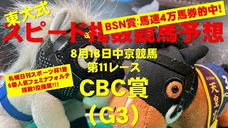 【ＣＢＣ賞２０２４】東大式スピード指数による競馬予想