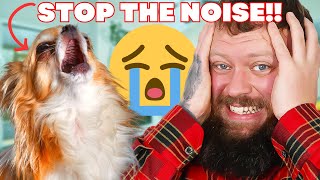 How to Get Your Dog To Stop Crying and Whining!