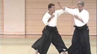 Aikido - Irimi Nage