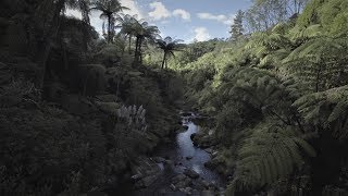 Turangi Drone footage