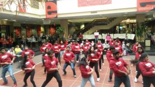 SIUE ISA Flash Mob