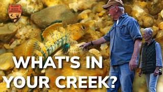 Oklahoma's Hidden Waters: The Secret World Beneath Our Streams