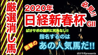 2020 日経新春杯【ＧⅡ】厳選消し馬！指名するのはあの人気馬！？