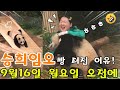 에버랜드 판다월드 2024년 9월 16일 월요일 😆승희 이모가 빵 터진 이유!🤣정말 재미있고 감동적인 현장에서