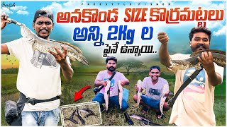 అనకొండ size కొర్రమట్టలు అన్ని 2kg ల పైనే ఉన్నాయి