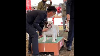 茨城ブルドッグクラブ　2グループ展②