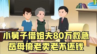 小舅子借姐夫80万救急，岳母倚老卖老不还钱，最后导致儿子破产！