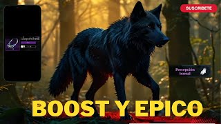 THE WOLF BOOST Y ARTICULO EPICO WOW!!!