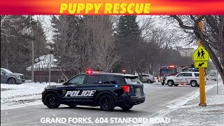 Puppies Rescued In Grand Forks