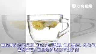 胎菊的功效与作用