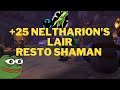 Restoration Shaman +25 Neltharion's Lair | Dragonflight Season 2