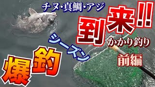 爆釣シーズン到来!! かかり釣りでチヌ・真鯛・アジが連発！(前編) ｜ Kakari fishing