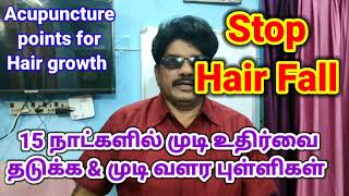 Stop Hair Fall | Hair Growth | தலைமுடி உதிர்தல் தடுக்க | முடி வளர | என் தலைமுடியின் ரகசியம்