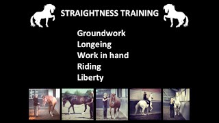 Straightness Training