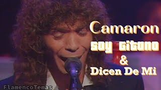 Camaron - [Soy Gitano] & [Dicen De Mi] ▪︎1990▪︎ | FlamencoTemas