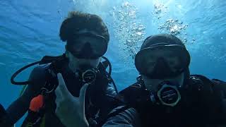 Bonaire Diving - November 2024