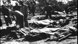 U.S. Marines of 1st Division suffer casualties during battle for Peleliu Island i...HD Stock Footage