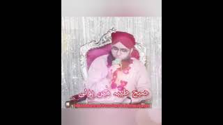 Subha Taiba Mein Hoe || Beautiful Kalam By Hafiz Muhammad Owais Raza Qadri Attari channel